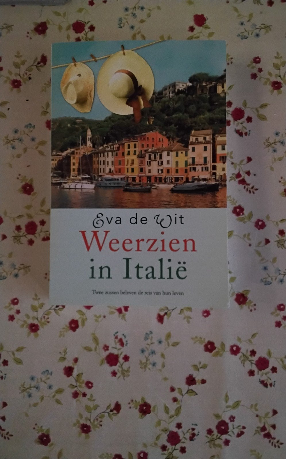 Weerzien in Italië - Eva de Wit (Roman), Boeken, Ophalen of Verzenden, Zo goed als nieuw, Eva de Wit, Nederland