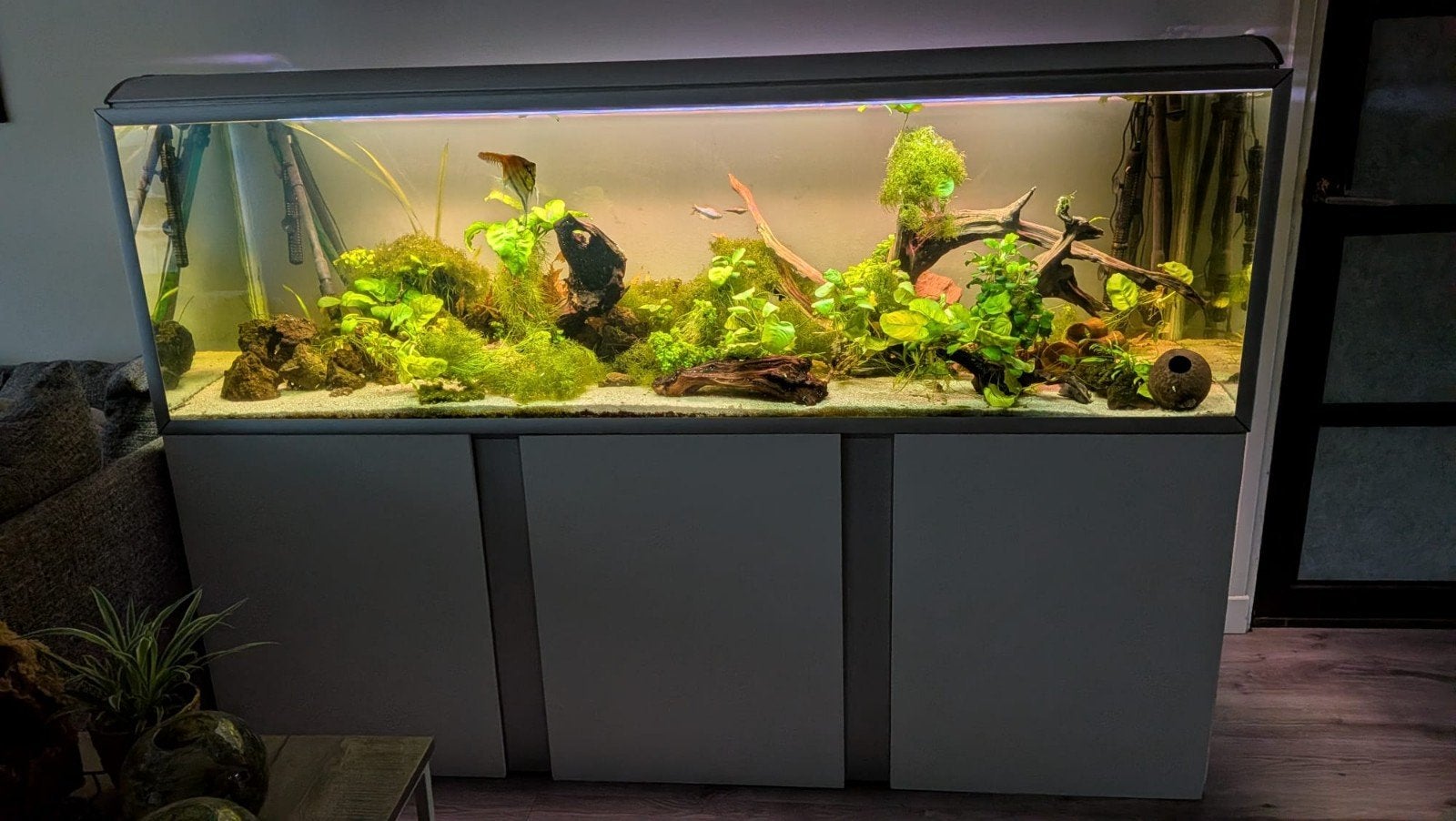 akvastabil fusion 2 meter zonder techniek, vissen e.a, Dieren en Toebehoren, Ophalen, Gebruikt, Leeg aquarium