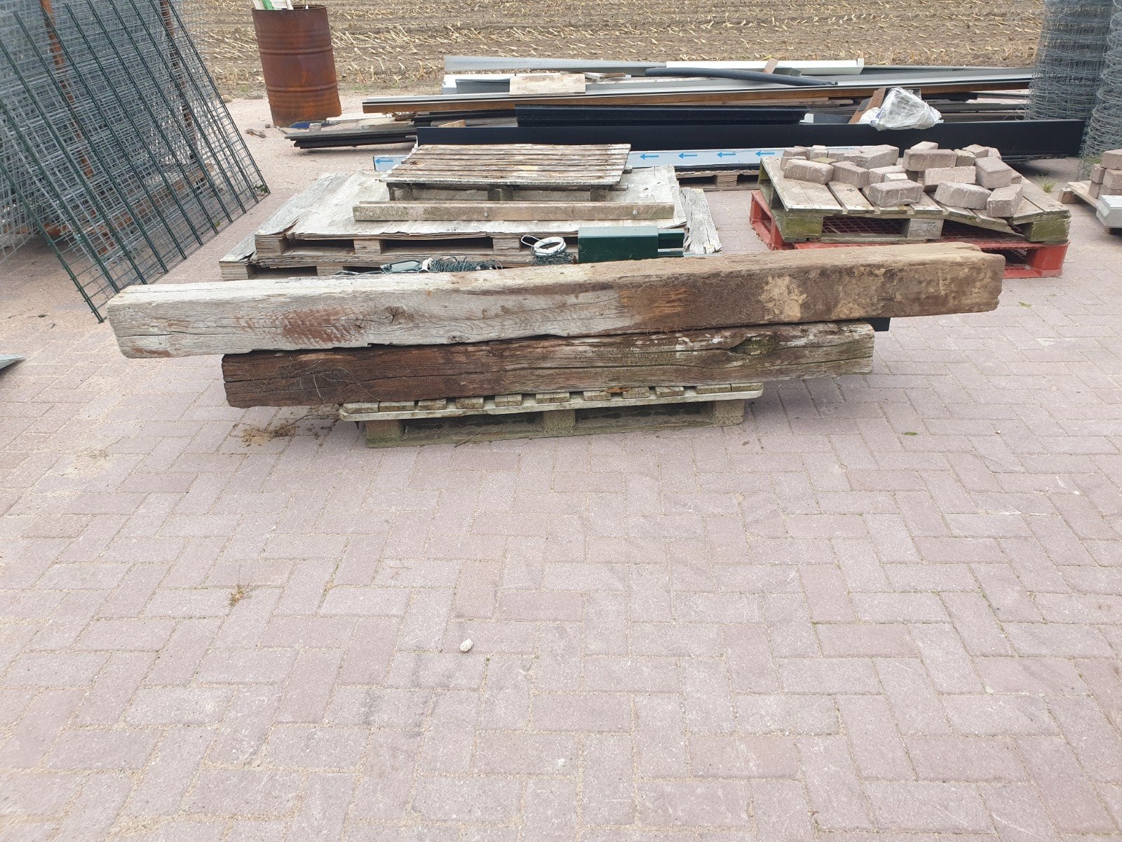 bielzen 2 stuks, Tuin en Terras, Bielzen en Borders, Biels, Ophalen of Verzenden, Minder dan 100 cm, Minder dan 25 cm