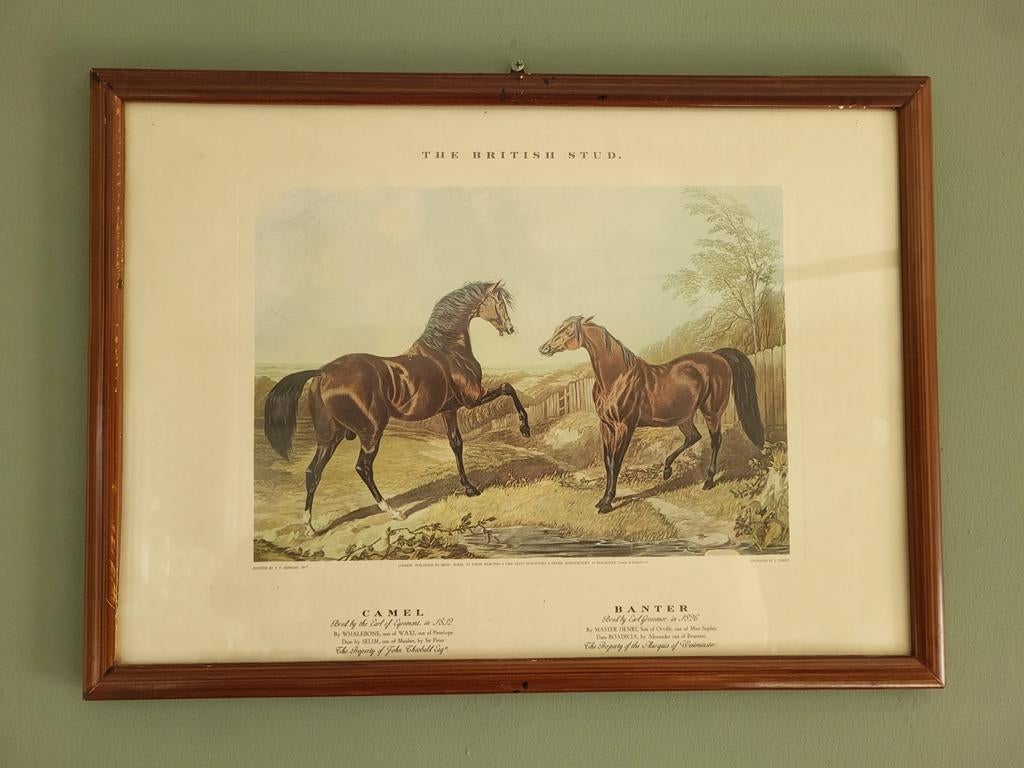 The British Stud" van John Frederick Herring, Ophalen of Verzenden