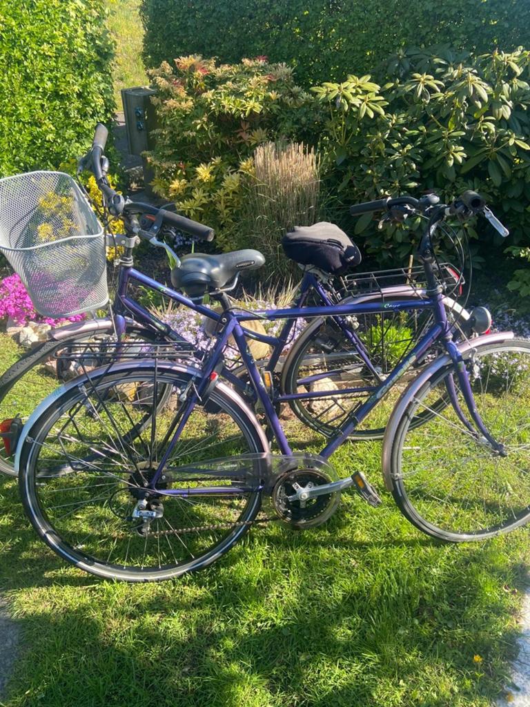 Twee Gazelle fietsen: heren- en damesmodel, Velgrem, Versnellingen, Ophalen of Verzenden, Gazelle
