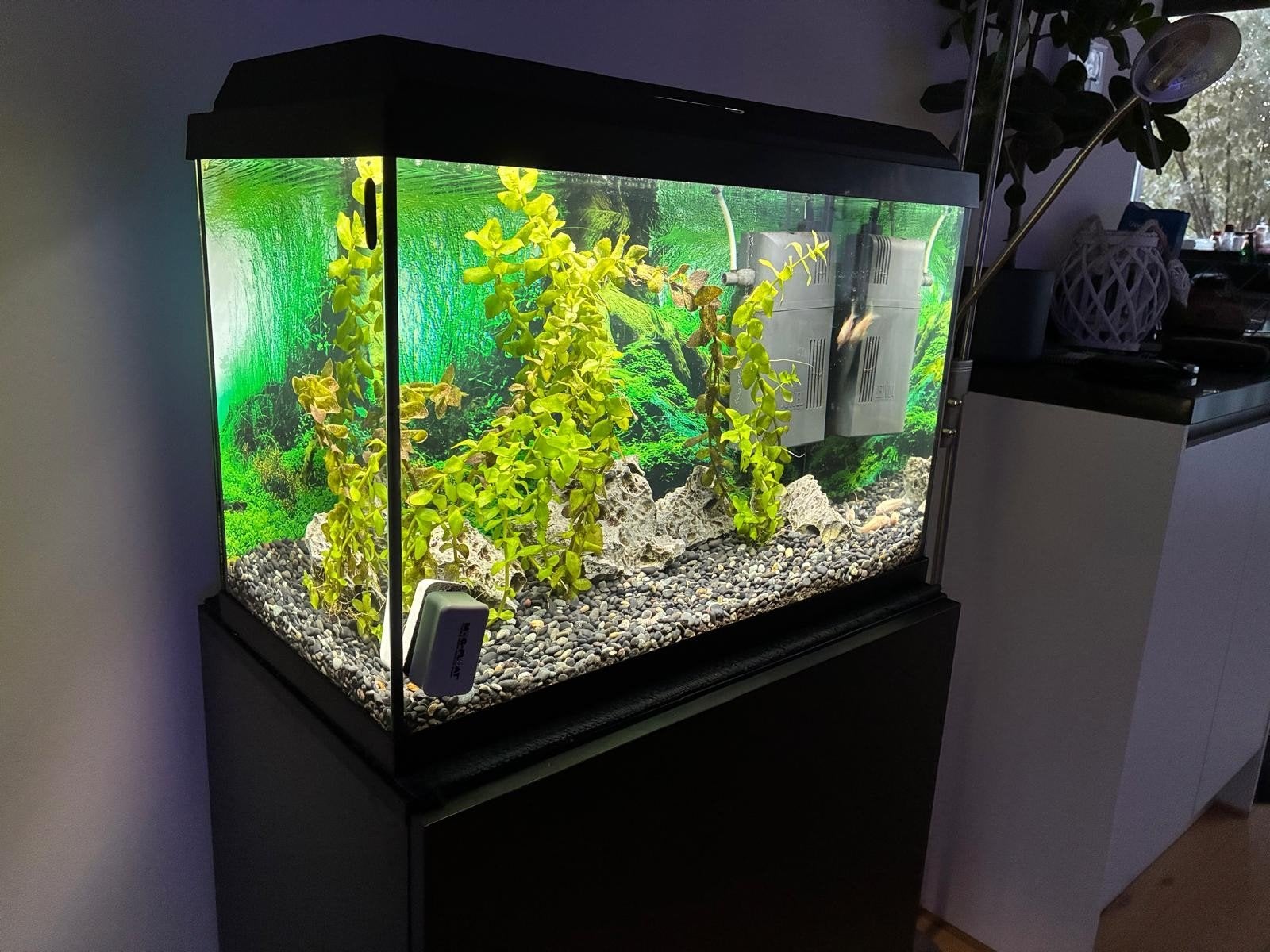 Aquarium juwel primo 70 incl onderkast, Gebruikt, Leeg aquarium, Juwel, Ophalen