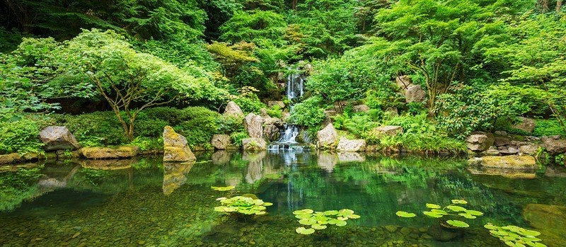 Nieuwe Tuinposter 180x90cm - Watervast & Afwasbaar twv €70, Tuin en Terras, Tuinwanddecoratie, Ophalen, Nieuw