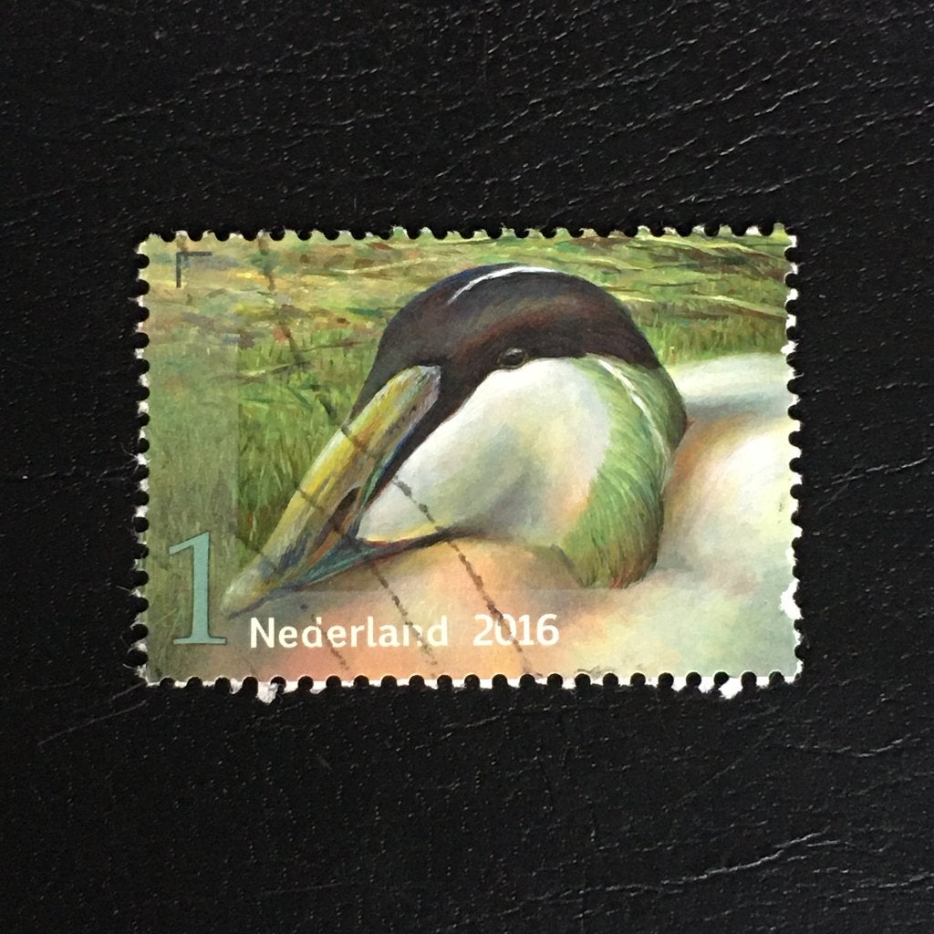 2006 Nederland 2016 NVPH 3410 Griend, Eidereend - gestempeld, Ophalen of Verzenden, Na 1940, Gestempeld