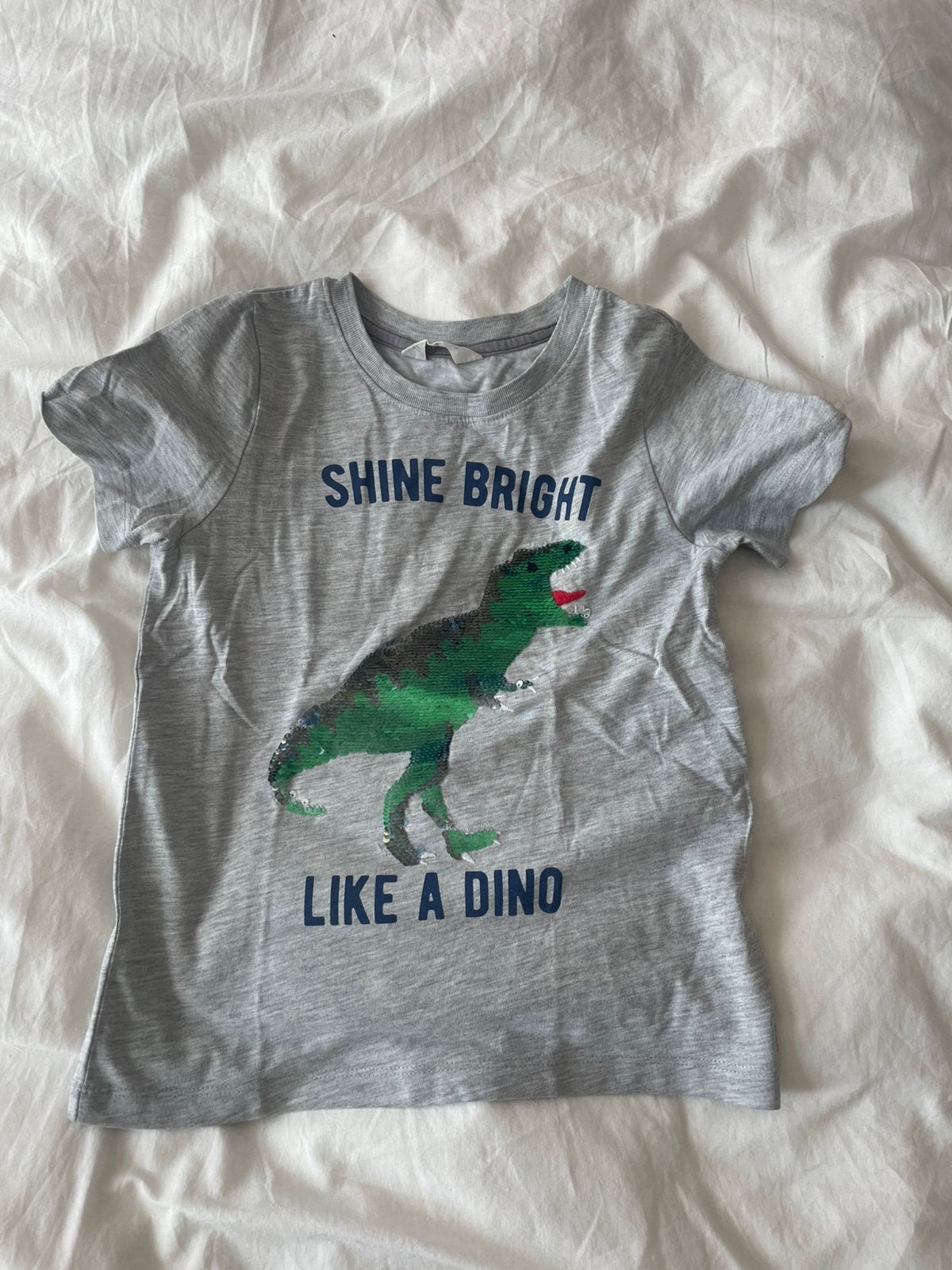Stoer T-shirt met dinosaurus en pailletten, Ophalen of Verzenden, Gebruikt, Jongen