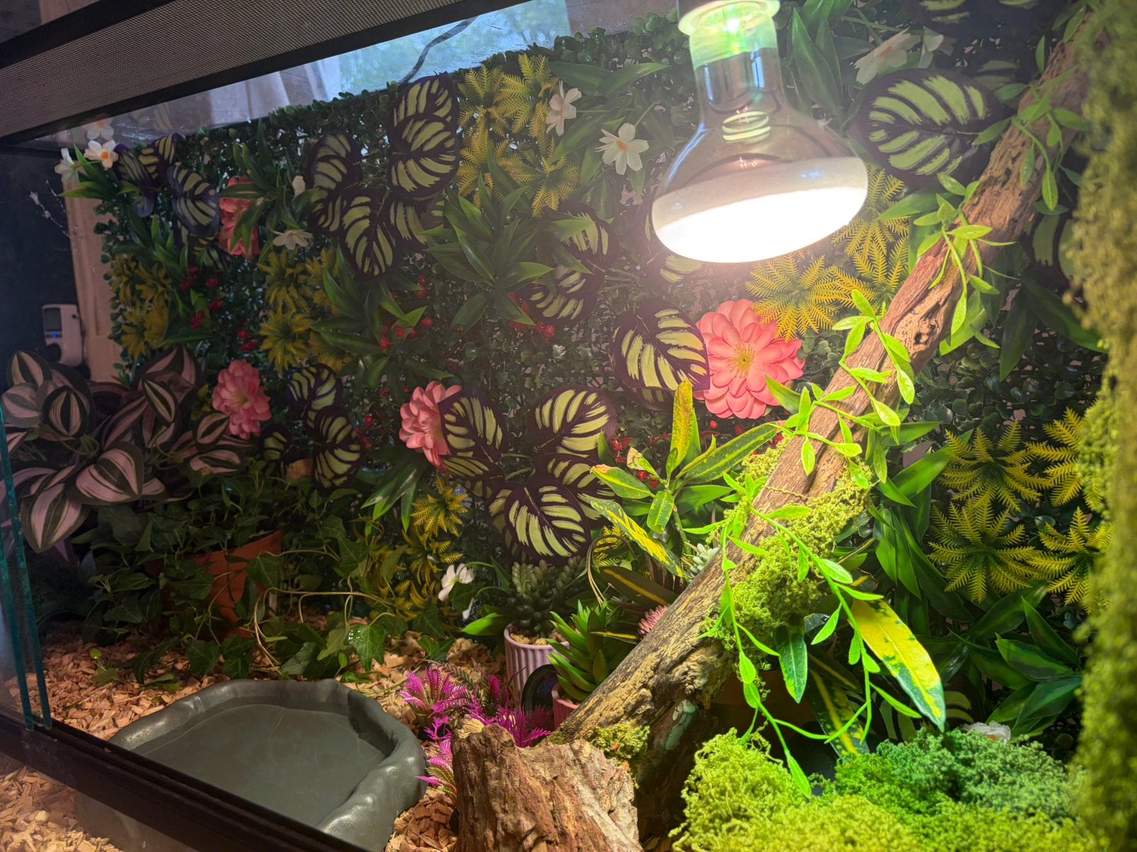 Terrarium zoo-distri, Dieren en Toebehoren, Ophalen, Zo goed als nieuw