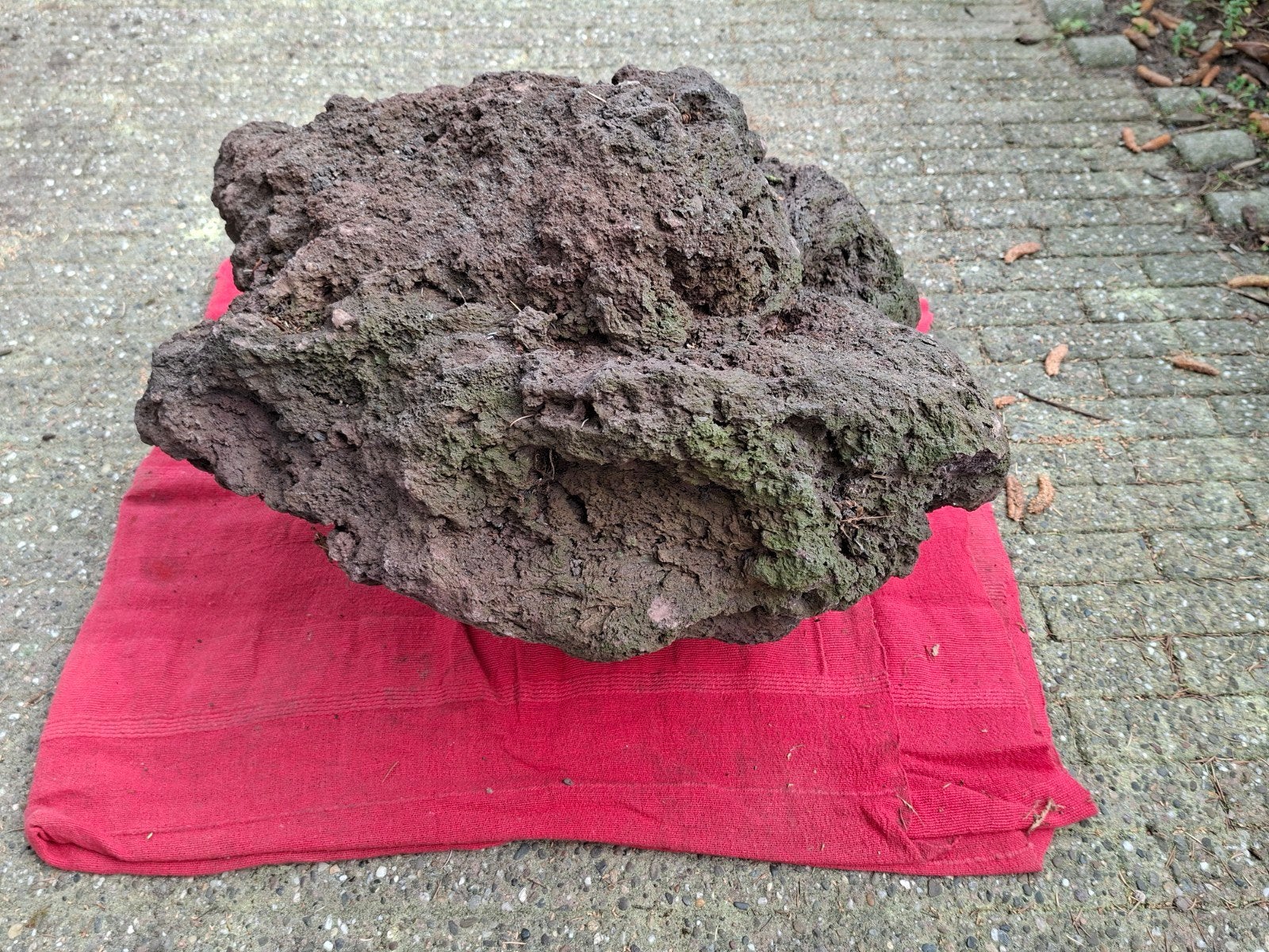 Sierlijke grote lavasteen van 65x60x45cm voor 40 euro, Ophalen, Bruin, Zo goed als nieuw, Kei
