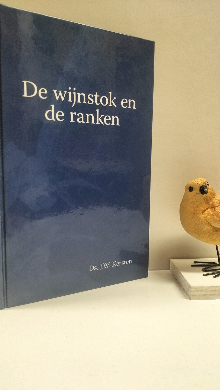 Kersten, Ds. J.W.; De wijnstok en de ranken, Boeken, Ophalen of Verzenden, Gelezen, Christendom | Protestants