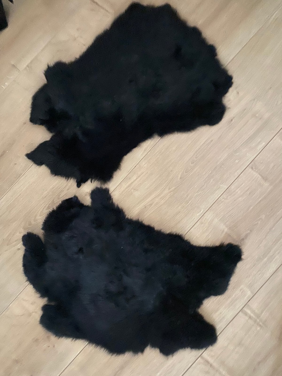 Twee zwarte kleedjes, Ophalen, Zo goed als nieuw