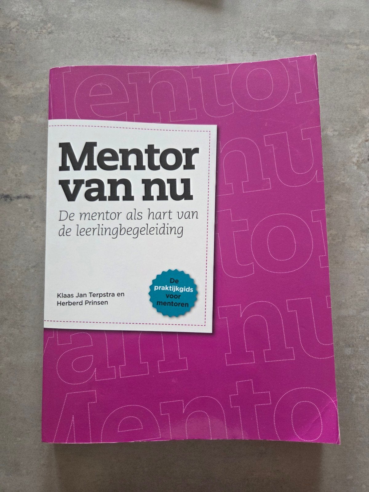 Klaas Jan Terpstra - Mentor van nu, Ophalen of Verzenden, Zo goed als nieuw, Klaas Jan Terpstra; Herberd Prinsen