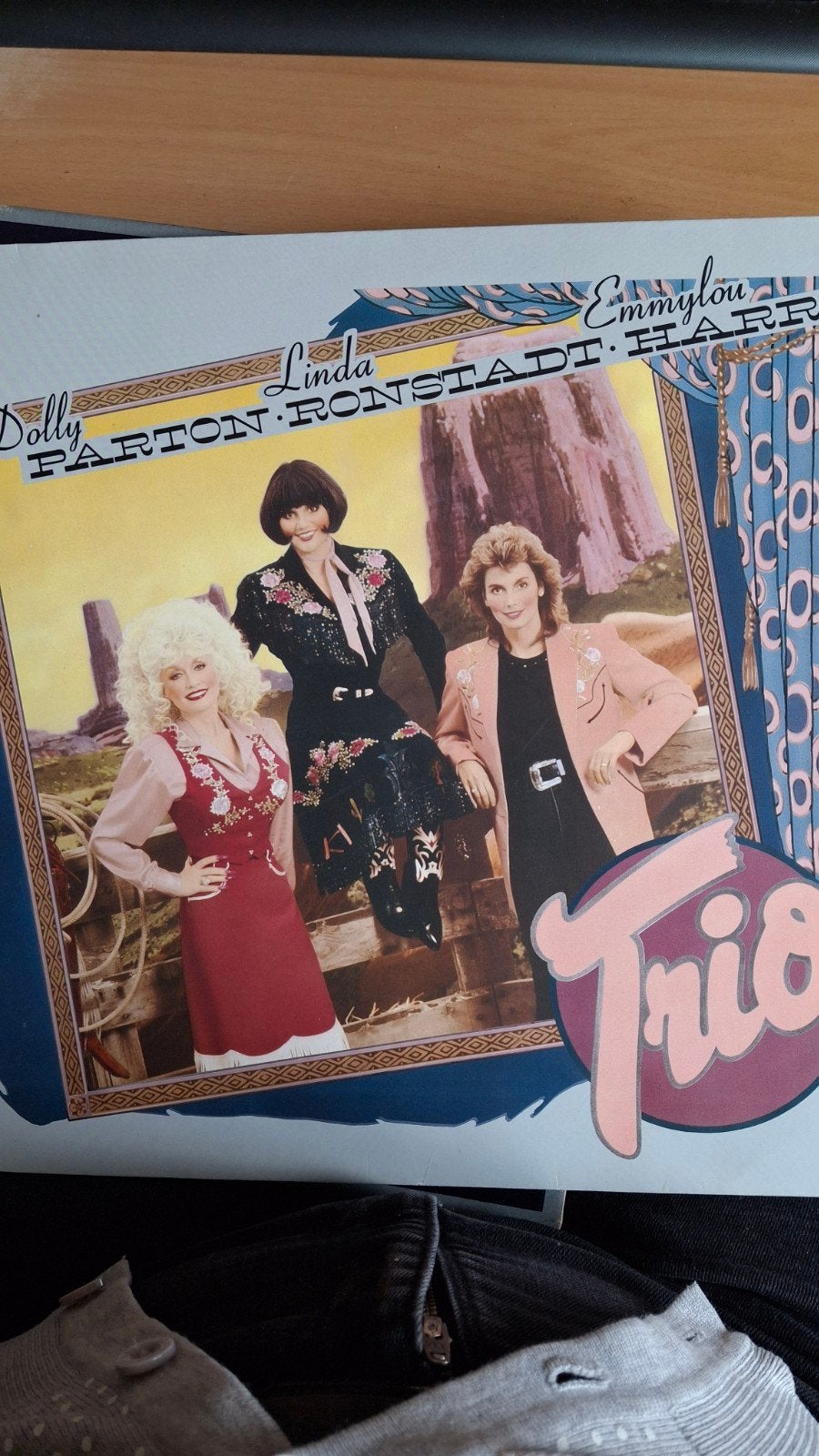 DOLLY Parton met, Ophalen of Verzenden, Zo goed als nieuw, Overige formaten