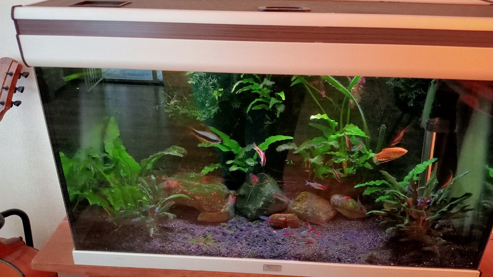 Aquarium met alles erbij, Ophalen, Inclusief toebehoren, Gebruikt, Aquatlantis