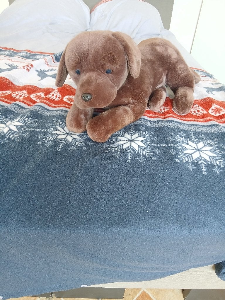 Levenechte labrador  knuffel, Ophalen, Nieuw, Overige typen