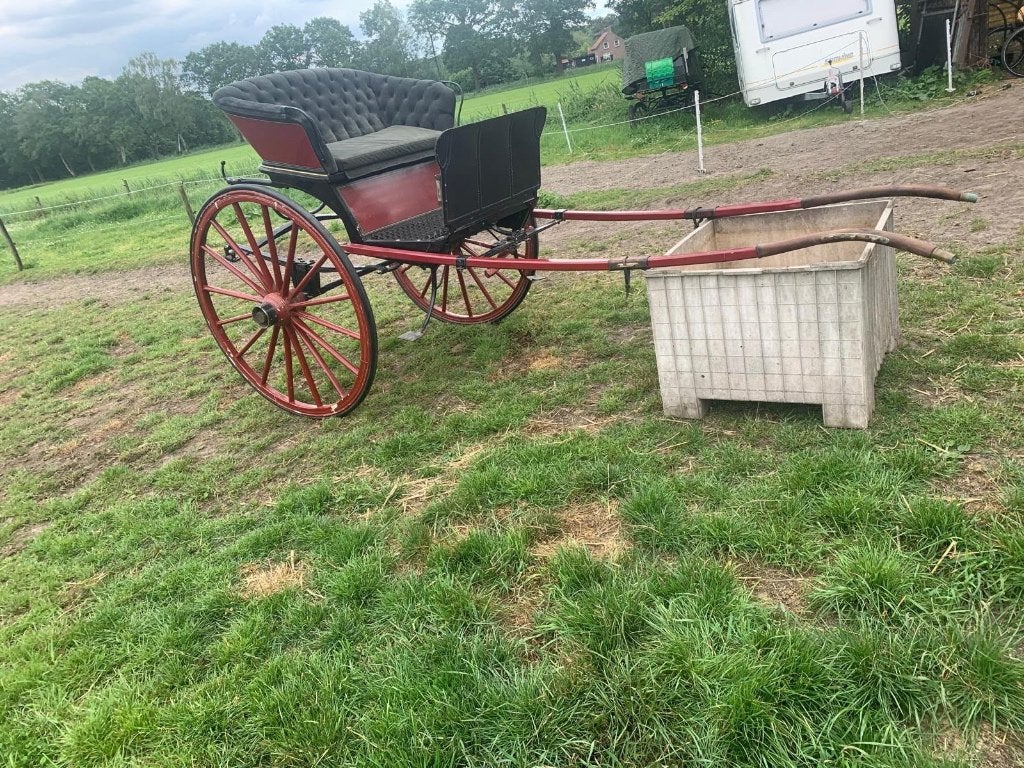 Unieke dameswagen/gig dubbel geveerd, Gebruikt, Overige typen, Paard