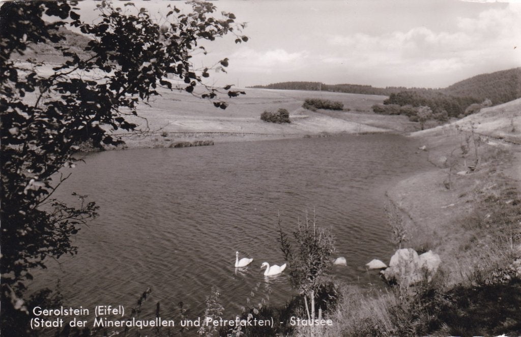 zwanen in de eifel gerolstein, Ophalen of Verzenden, Voor 1920, Noord-Brabant