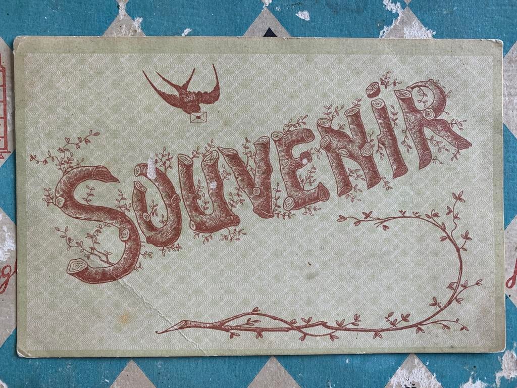 22-1-1908 Souvenir, Verzamelen, Ansichtkaarten | Themakaarten, Ophalen of Verzenden, Voor 1920, Gelopen, Overige thema's