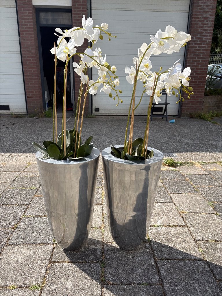 Luxe set witte Orchideeën in stijlvolle hoge zilveren potten, Ophalen, Zo goed als nieuw, Binnen