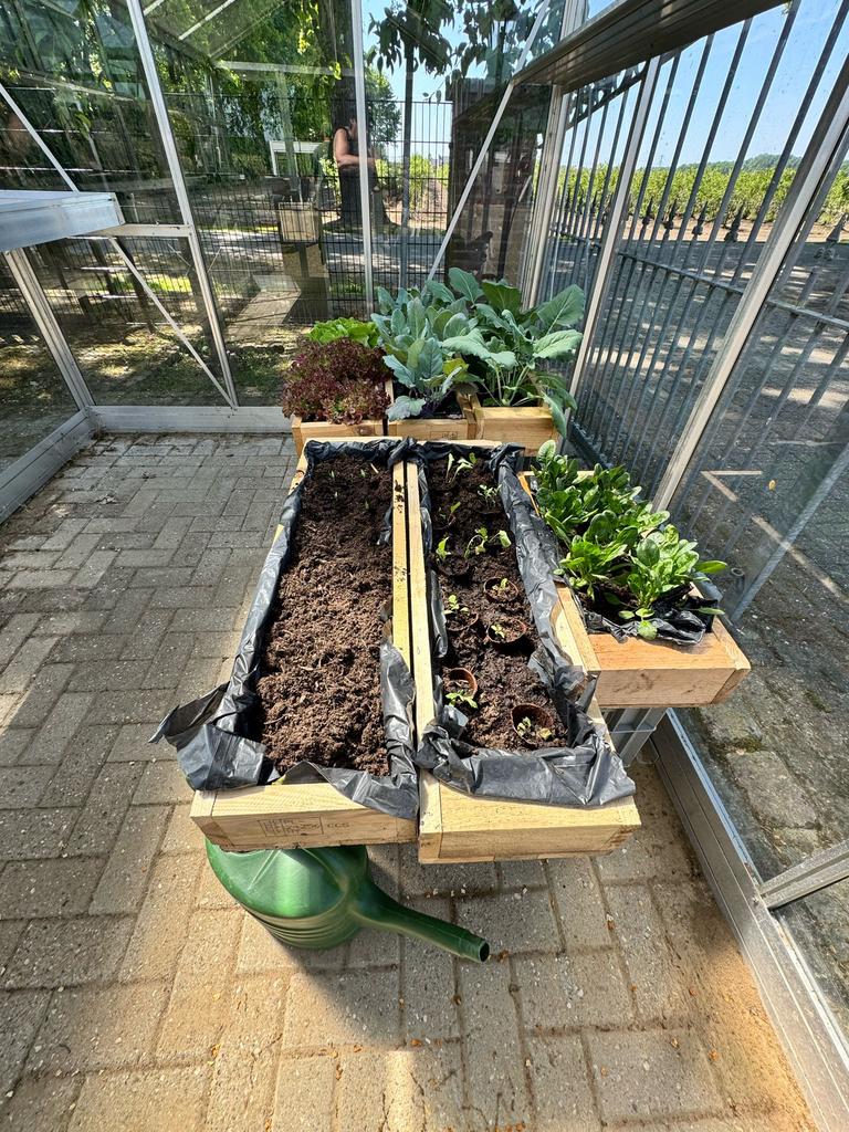 houten bakken, Ophalen, Minder dan 30 cm, 100 cm of meer, Zo goed als nieuw