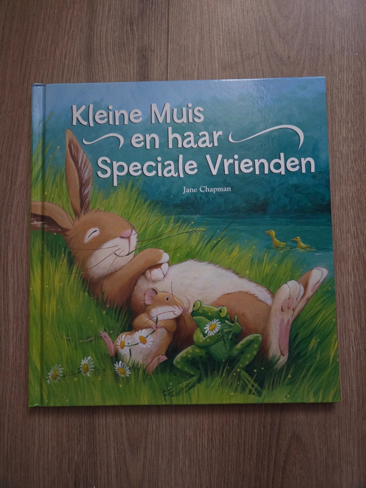 Kleine Muis en haar Speciale Vrienden - Jane Chapman, Boeken, Ophalen of Verzenden, Zo goed als nieuw, Jane Chapman, 2 tot 3 jaar
