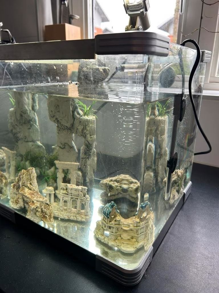 Een mooie kleine Aquarium (B30-H30-D30 cm), Ophalen, Gebruikt, Overige typen