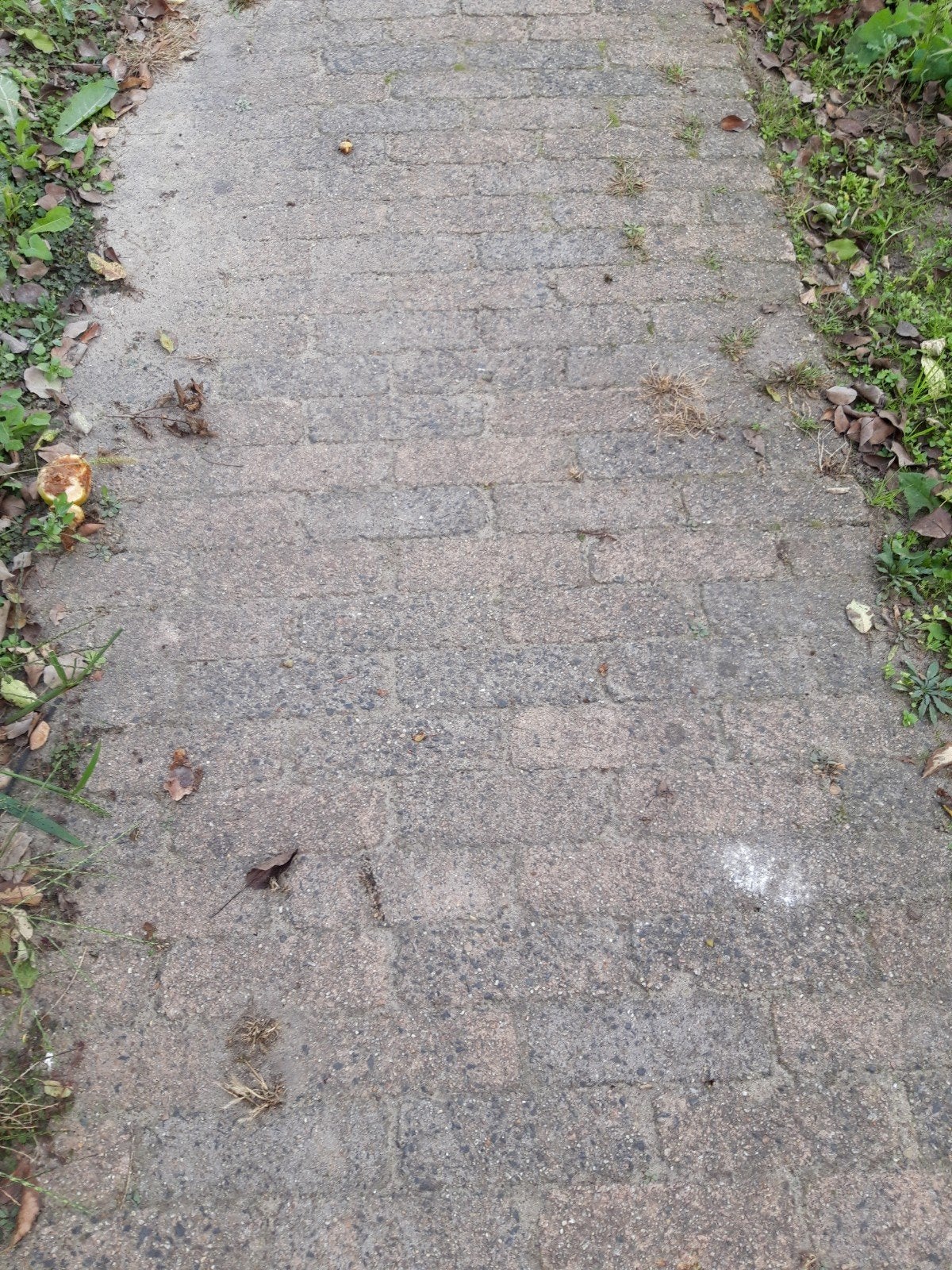 mooie stenen, Ophalen, Gebruikt, Klinkers, 10 m² of meer