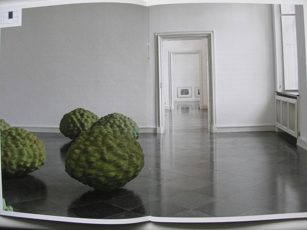 Nicola Schrudde, installatie met DVD Räume Silber und Grün, Ophalen of Verzenden, Zo goed als nieuw, Overige onderwerpen