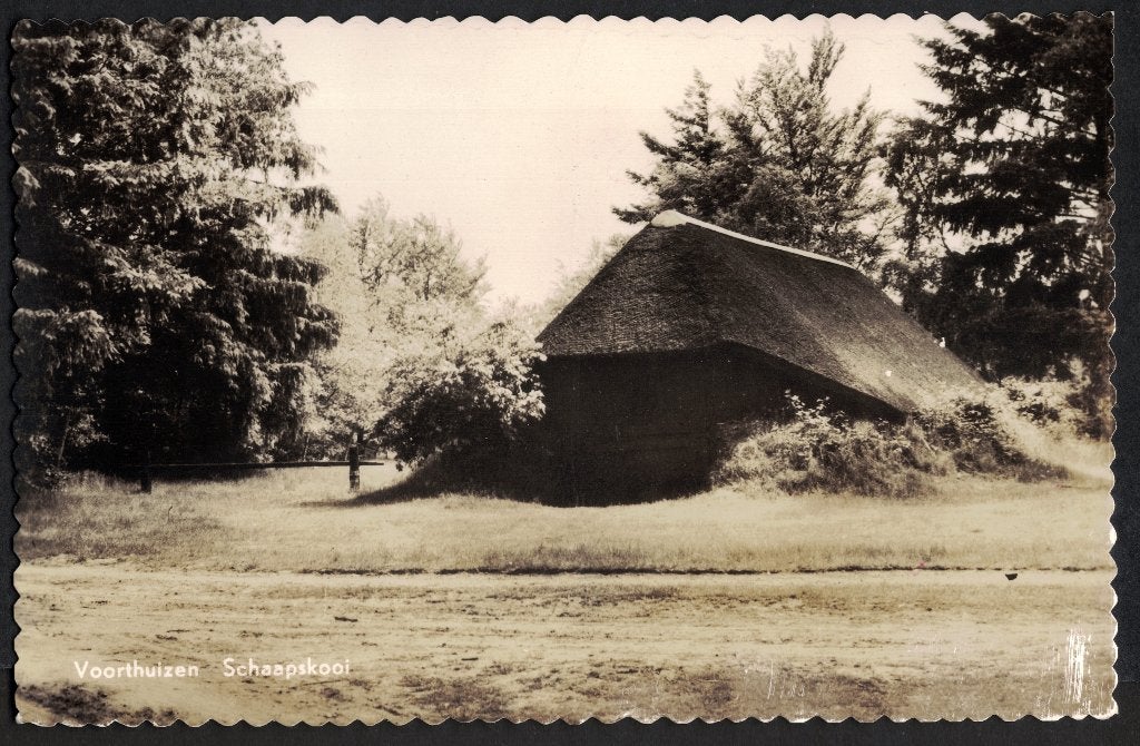 Voorthuizen, Schaapskooi., Ophalen of Verzenden, 1940 tot 1960, Ongelopen, Gelderland