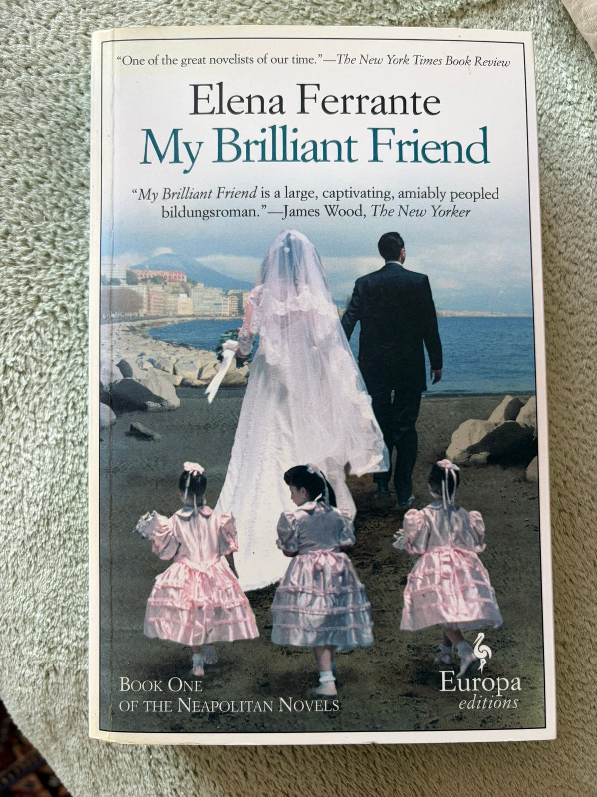 My brilliant friend / elena ferrante, Ophalen of Verzenden, Zo goed als nieuw