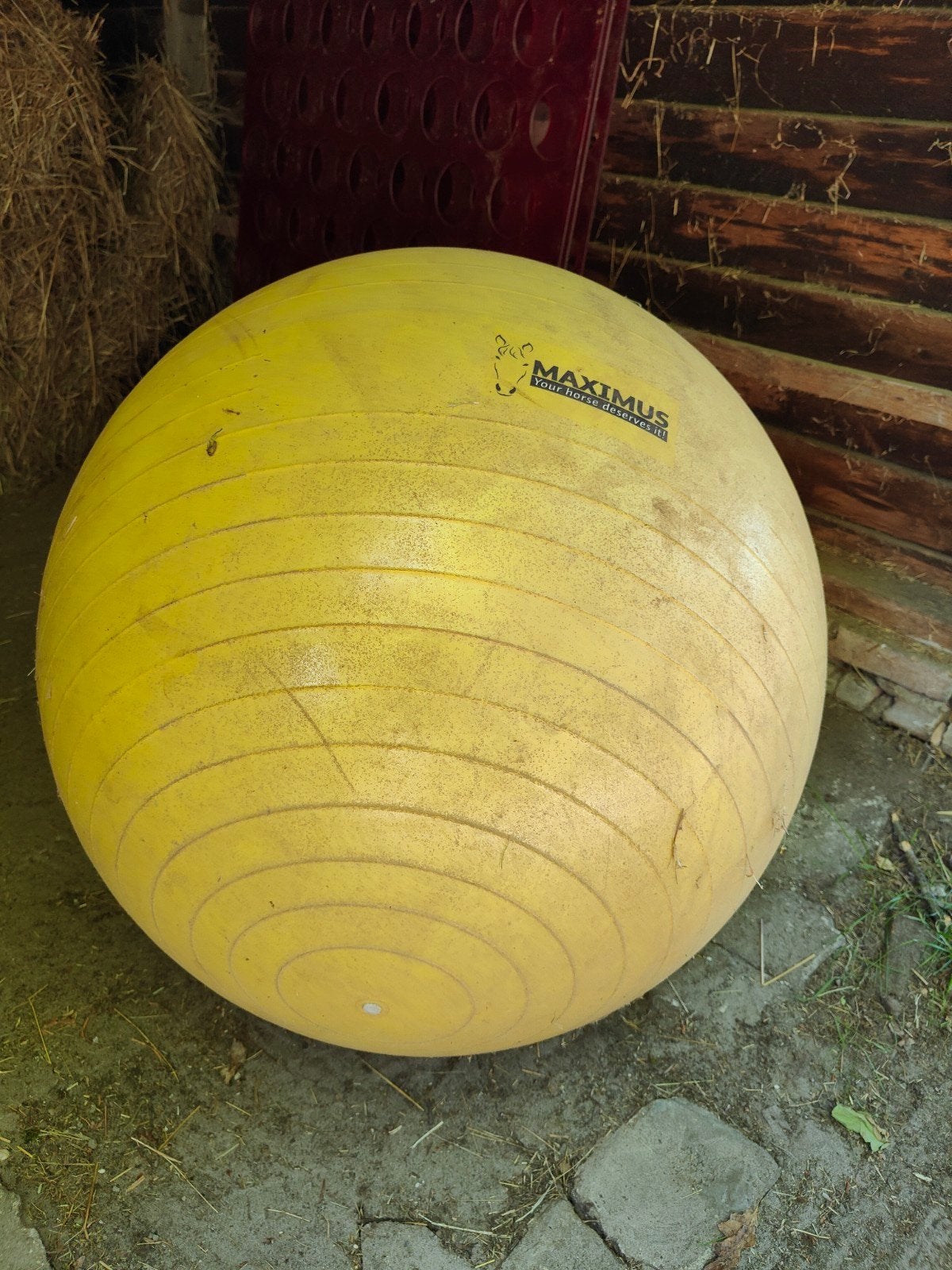 Maximus paardenbal 75 cm., Ophalen of Verzenden