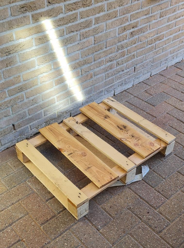 Pallet (klein) - GRATIS, Ophalen, 50 mm of meer, Pallet, Minder dan 200 cm