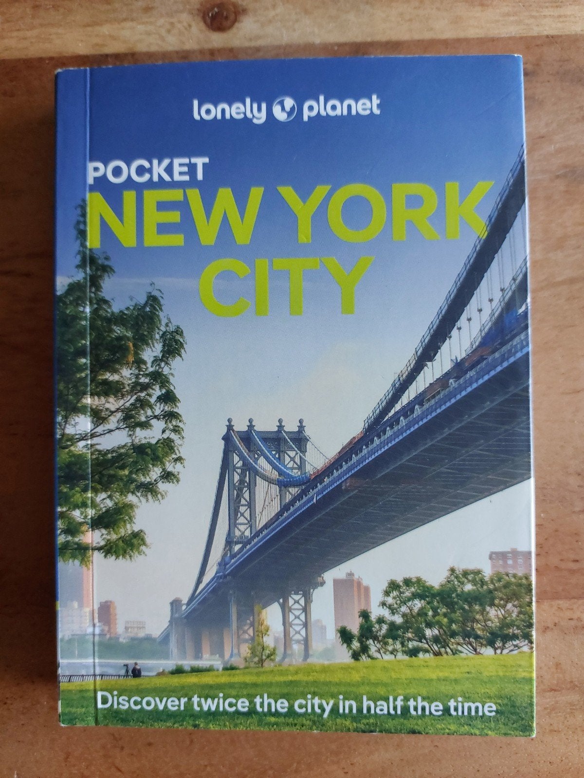 Lonely Planet Pocket New York City Reisgids, Boeken, Reisgidsen, Lonely Planet, Ophalen of Verzenden, Zo goed als nieuw, Reisgids of -boek