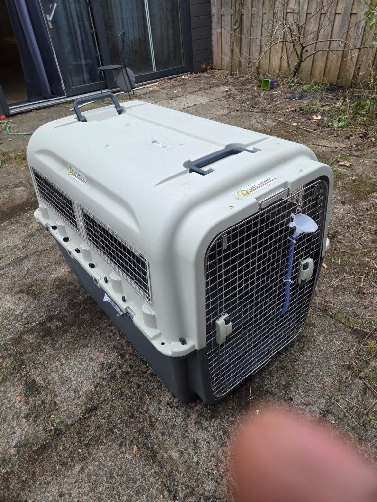 XXL transportbox/reisbench grote hond – 130  90  97 cm, Ophalen, Gebruikt