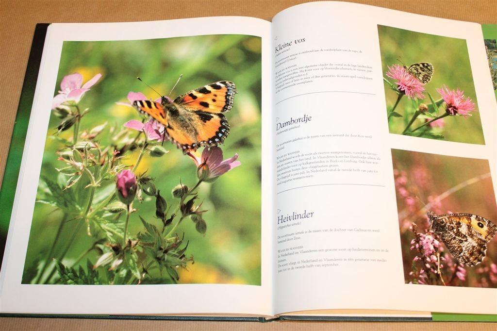 Dagvlinders — Fotogids Van De Lage Landen, Ophalen of Verzenden, Zo goed als nieuw