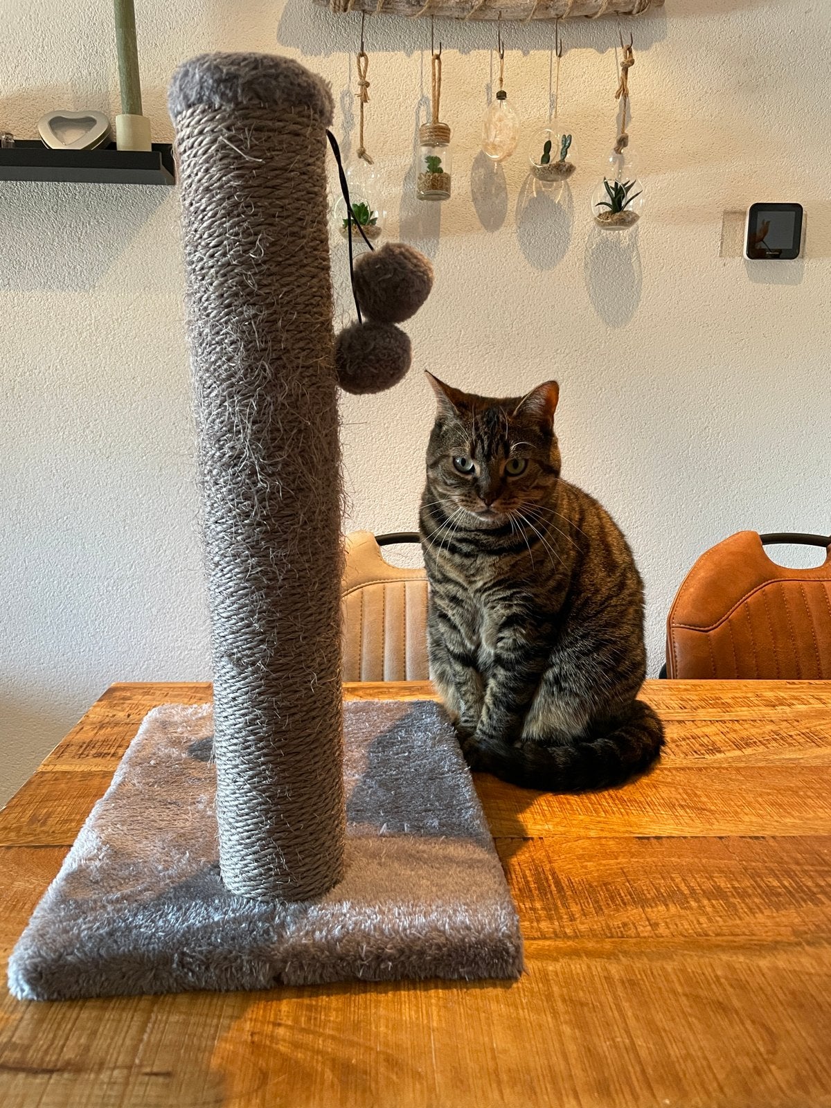 Krabpaal voor kittens of kleine poezen/katten, Dieren en Toebehoren, Krabmeubelen, Ophalen, Zo goed als nieuw, Krabpaal