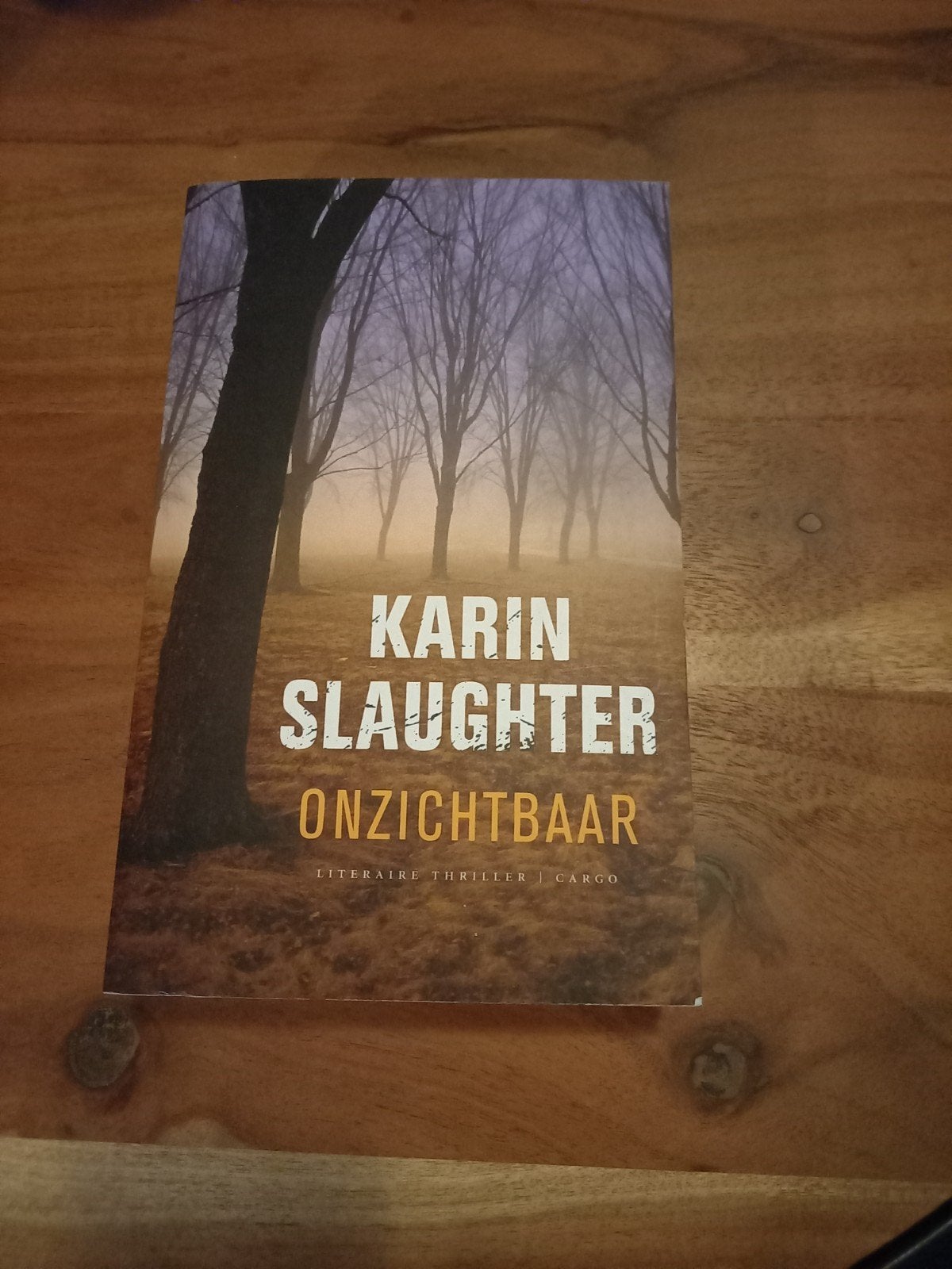 Karin Slaughter - Onzichtbaar, Ophalen of Verzenden, Gelezen, Karin Slaughter