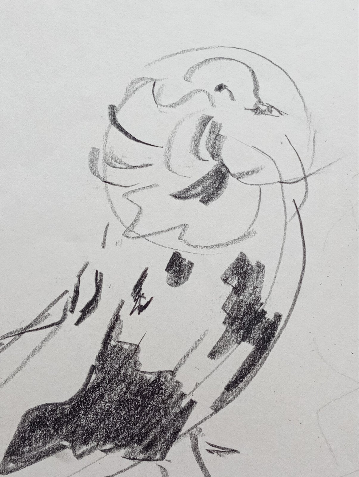 Jan Visser tekening Duif jaren 40-50, Verzamelen, Ophalen of Verzenden