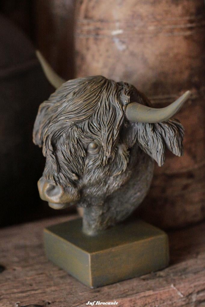 Hooglander borstbeeld, Huis en Inrichting, Www.jufbrocante.nl, Www.jufbrocante.nl, Nieuw, Ophalen of Verzenden