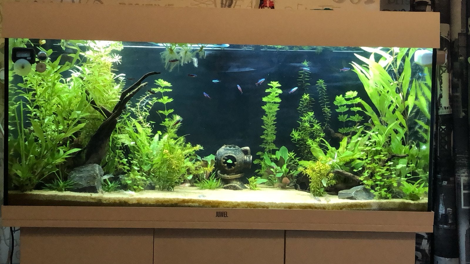 Juwel Rio 180 wit met alle toebehoren, zonder inhoud, Dieren en Toebehoren, Ophalen, Gebruikt, Leeg aquarium, Juwel
