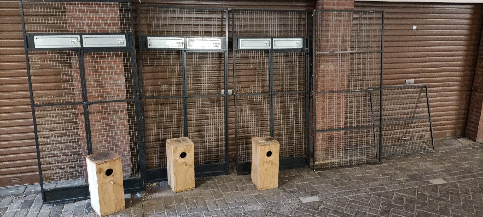 Voorfronten 100/ 200. Cm, Meerdere dieren, Papegaai