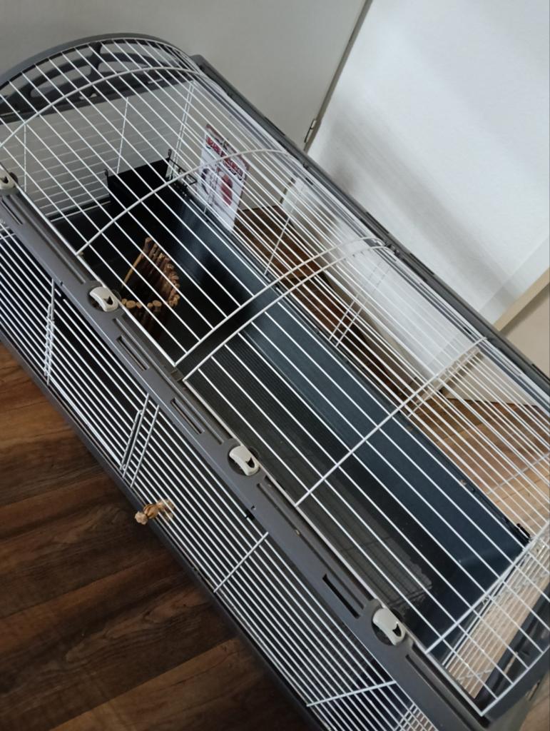 Cavia konijn of ander knaag dier, Ophalen, Kooi, 60 tot 90 cm, Zo goed als nieuw