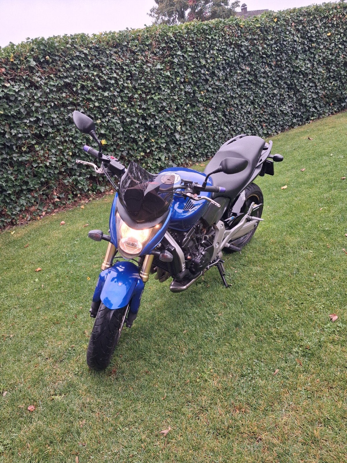 Honda Hornet CB600F ABS - 2008 - 30.000 km, 4 cilinders, Motorrijbewijs A, Gebruikt, Particulier
