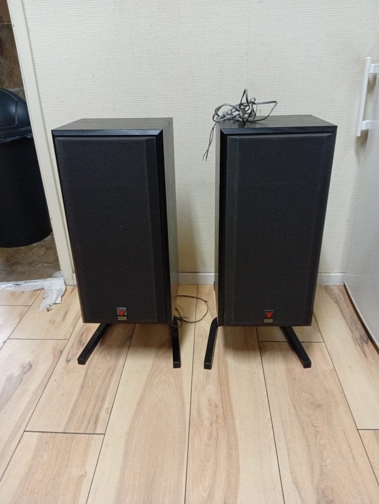 B&W Speakers Vision DS2, Audio, Tv en Foto, Luidsprekers, Vloerstaande luidspreker, Ophalen of Verzenden, Zo goed als nieuw, 60 tot 120 watt