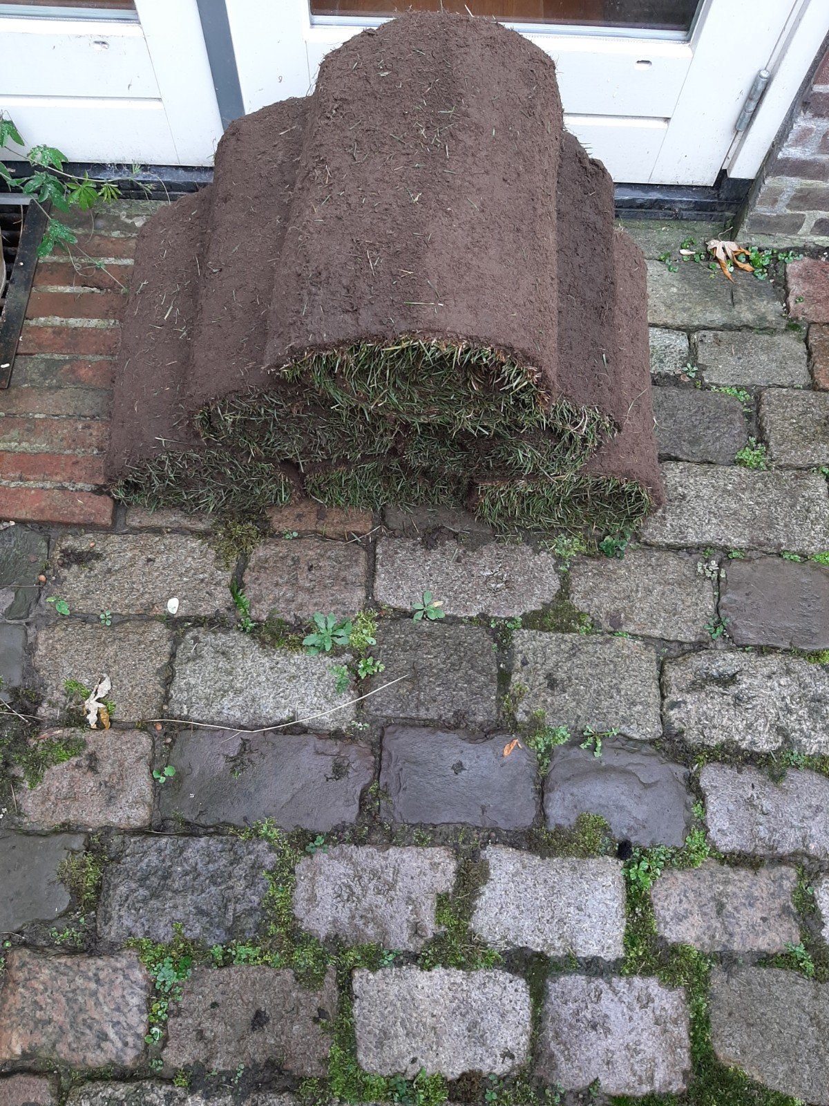 Graszoden 6 stuks, Ophalen, Nieuw, Minder dan 10 m²