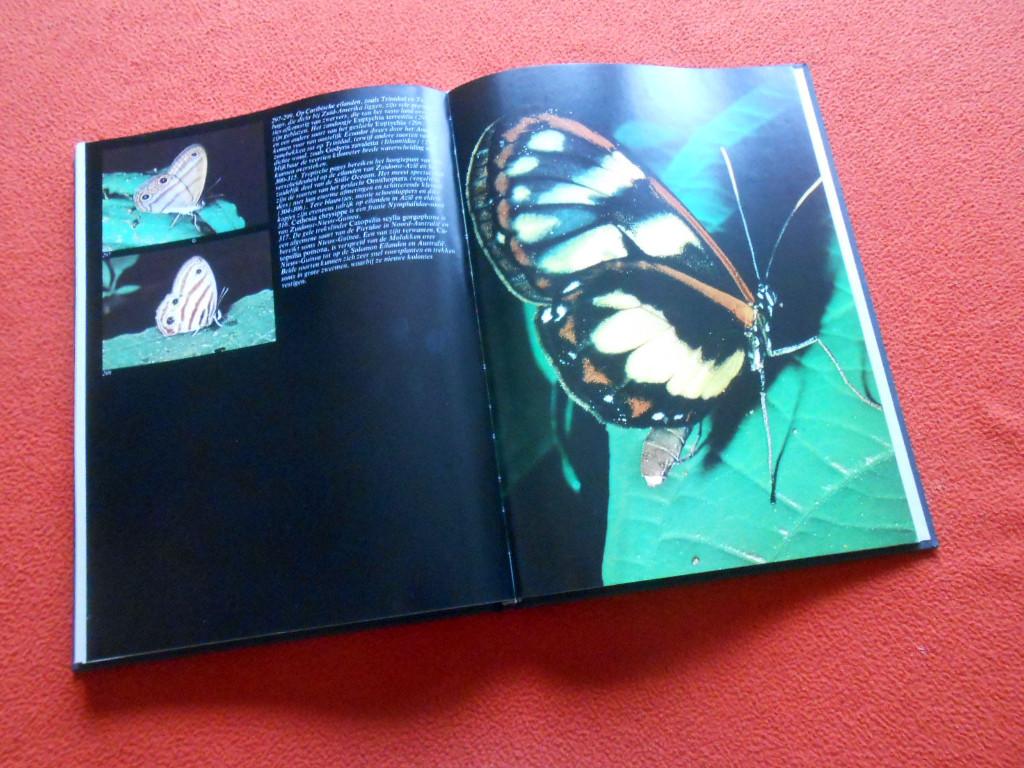 Spectrum Vlinderboek, Ophalen of Verzenden, Gelezen, Overige onderwerpen