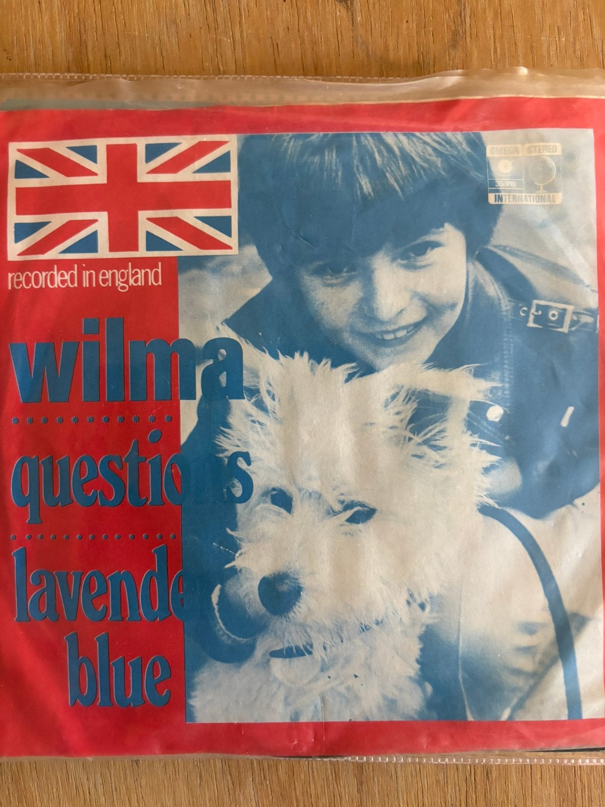 Wilma - questions - vinyl single, Ophalen of Verzenden, Gebruikt, Pop