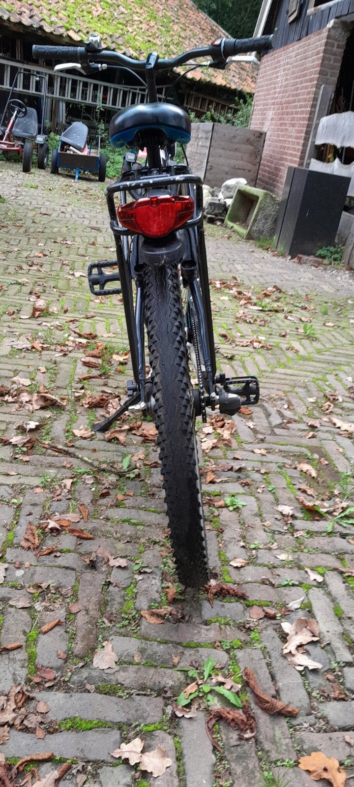 Foto 4 van Batavus Snake
