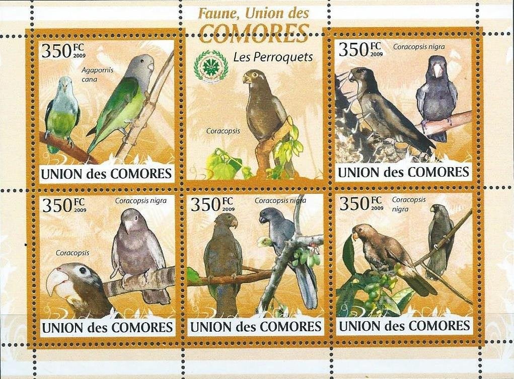 Vogels - Comoren - Mi 2387/2391 - Blok - Postfris, Ophalen of Verzenden, Postfris, Dier of Natuur