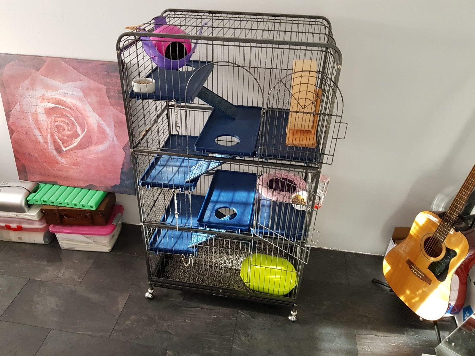 Kaangdieren kooi, Dieren en Toebehoren, Knaagdieren en Konijnen | Hokken en Kooien, Ophalen, Kooi, Gebruikt, 90 cm of meer