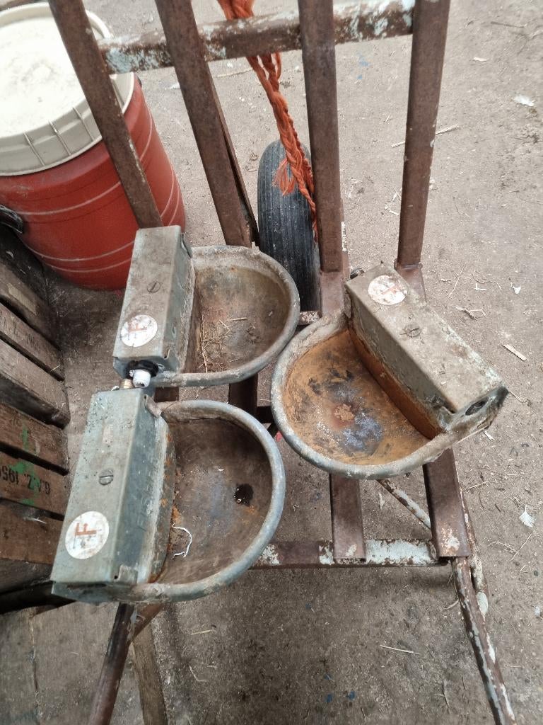 Drinkbakken voor schapen, Dieren en Toebehoren, Geslacht onbekend, Schaap, 6 jaar of ouder