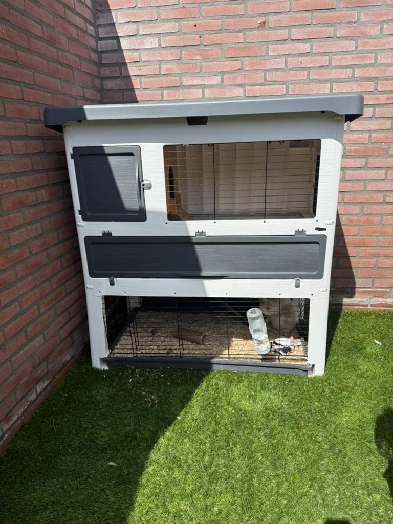 Konijn en konijnenhok, Ophalen, 110 cm of meer, Zo goed als nieuw, 90 cm of meer